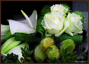 Flowers for my friend White_Dove, art , white, green, atill life, beautiful, flowers arangement HD wallpaper