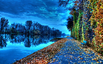 Fall Screensavers And afari HD wallpaper