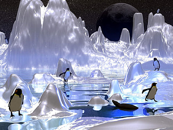 Happy pinguins, pinguins, happy, beautiful, nature HD wallpaper