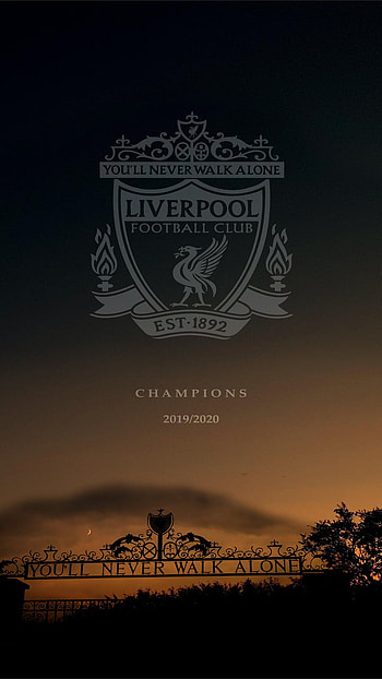 Liverpool Fc, Premier league, England HD phone wallpaper