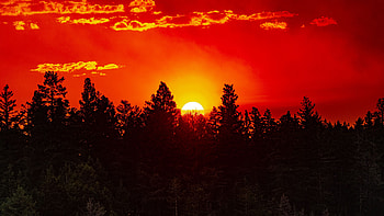 Trees Forest Moon Red Sky Silhouettes Nature Background Nature HD wallpaper