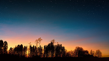 Sunset, silhouette, trees, clean sky, nature HD wallpaper