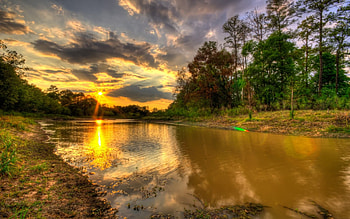 Texas , Texas vibes HD wallpaper