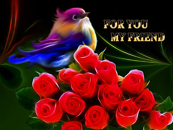 For you my friend, birds, roses fractal, color, hop, flowers HD wallpaper