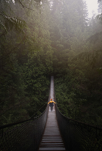 Nature, Trees, Canada, Forest, Bridge, Suspension, Hanging, Human, Person, Vancouver HD phone wallpaper