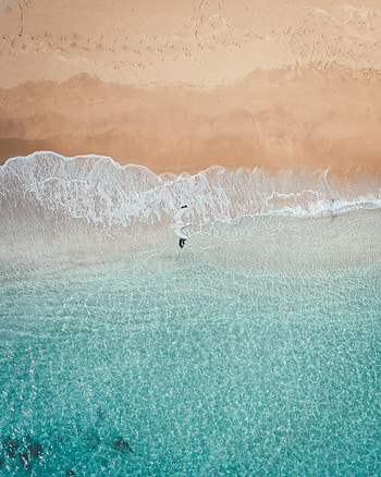Animals, Sea, Beach, View From Above, Bird HD phone wallpaper
