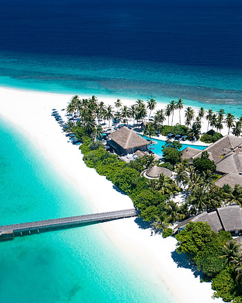 Nature, Houses, Beach, Palms, Ocean, Island, Maldives, Small Houses HD phone wallpaper