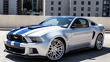 Shelby Mustang, shelby cobra, hot shelby, mustang, shelby HD wallpaper