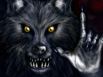 wolf, cool wolf, black HD wallpaper