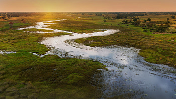 Okavango Delta sunset, Chobe National Park, African wilderness, Windows 10 spotlight HD wallpaper
