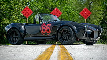 Shelby, , windows HD wallpaper