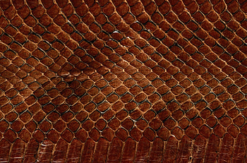 Background, Texture, Textures, Skin, Leather, Snake Scales, Scales Of Snakes HD wallpaper