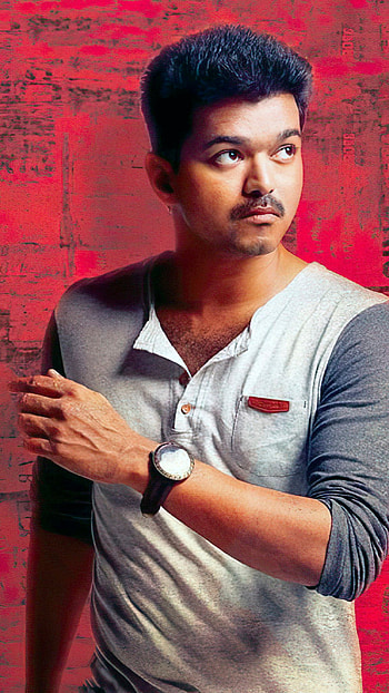 Thalapathy Vijay, South, Hero, Vijay HD phone wallpaper