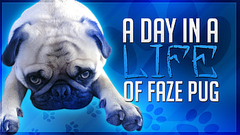 Faze Rug HD wallpaper