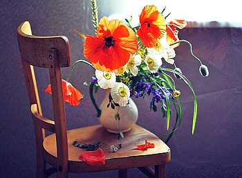 Beauty on a chair, wooden, chair, poppies, sunlight, window, white and blue flowers, vase HD wallpaper