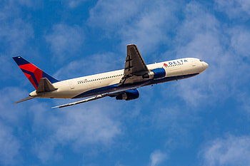 Delta Air Lines, Emotional support animals, Long haul flights, Pet policies HD wallpaper