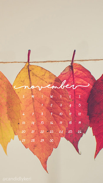 Pretty Leaf graphy colorful leaves yellow orange red November calendar 2016 you can for HD phone wallpaper