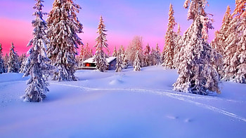Cabin in Winter Forest, trees, sky, ice, snow, landscape HD wallpaper