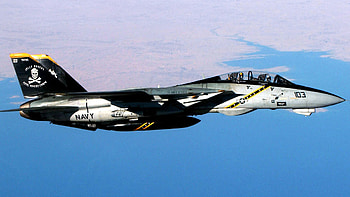 F 14 Tomcat Jolly Rogers Military Aircraft HD wallpaper