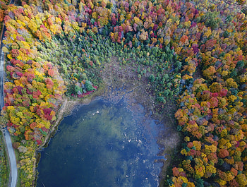 Nature, Trees, View From Above, Lake, Forest HD wallpaper