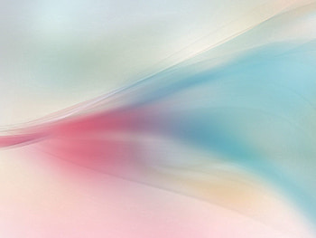 Abstract, Shine, Light, Beauty, Color, Style, Transfusion Of Flowers HD wallpaper