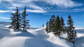 Vorarlberg, Austrian Alps, sky, snow, landscape, clouds, trees, mountains HD wallpaper