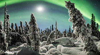 Northern Lights, sky, moon, firs, snow HD wallpaper