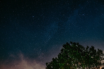 Nature, Night, Wood, Tree, Starry Sky HD wallpaper