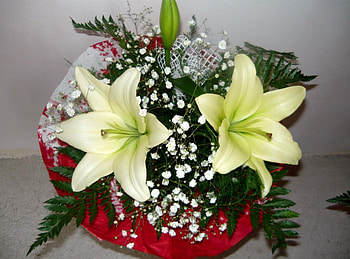 Flowers, Lilies, Fern, Registration, Typography, Bouquet, Gypsophilus, Gipsophile HD wallpaper