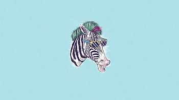 Zebra Minimalism, zebra, animals, minimalism, artist, digital-art HD wallpaper
