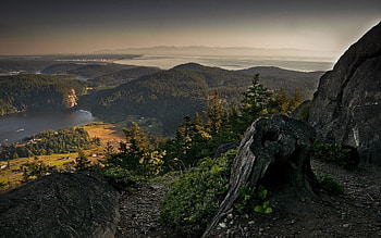Nature, Mountains, Height, View, Stump HD wallpaper