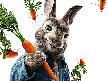 Peter rabbit, animation movie, Rabbit, 2018 HD wallpaper