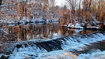 Winter, Nature, Rivers, Trees, Flow, Threshold HD wallpaper