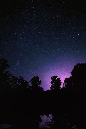 Landscape, Trees, Stars, Night, Dark, Starry Sky HD phone wallpaper