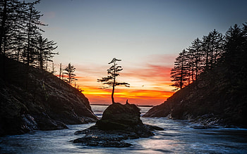Deadman’s Cove at Cape Disappointment, Washington, sea, morning, colors, clouds, trees, sky, rocks, sunrise, usa HD wallpaper
