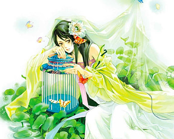 Fantasy girl, butterfly, cage, fantasy, woman HD wallpaper