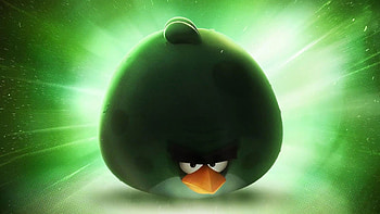 Games, Birds, Angry Birds HD wallpaper