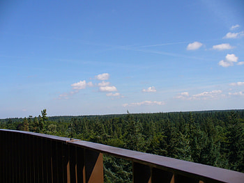 The Forest Tower, Forest as far as you can see, tower, clouds, trees, view, nature, forest HD wallpaper