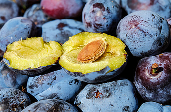 Fruits, Food, Plum, Ripe HD wallpaper