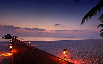 evening at tropic beach, tropic, sand, tropical, pier, vacation, beach, holiday, ocean, palms, sea, lamps, paradise, summer, purple, SkyPhoenixX1, lights, hut, clouds, nature, sky, evening HD wallpaper