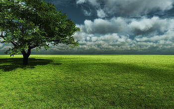 Landscape Background HD wallpaper