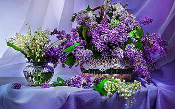A Bouquet of Flowers, Lilacs, Vase, Basket, Table HD wallpaper