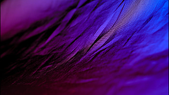 Background, Violet HD wallpaper