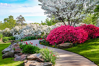 Spring garden, path, garden, flowering, beautiful, tulips, spring, tree, fragrance, walk, park, freshness, blossoms, blooming, scent, alley HD wallpaper