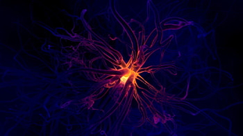 Abstract, Background, Dark, Shine, Light, Plexus HD wallpaper