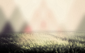 Grass, Macro, Shine, Light, Fog HD wallpaper