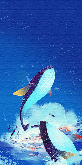Whale, marine biology, electric blue HD phone wallpaper