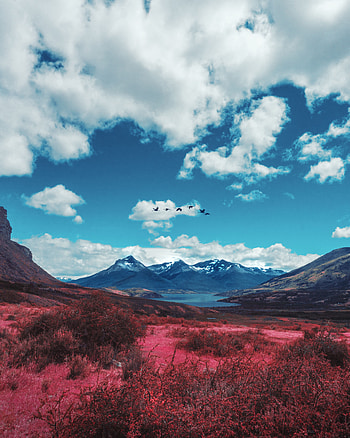 Landscape, Nature, Birds, Mountains, Lake, Valley HD phone wallpaper