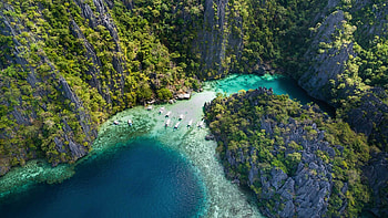 Palawan beaches, Pristine beauty, Exotic wildlife, Hidden gems HD wallpaper