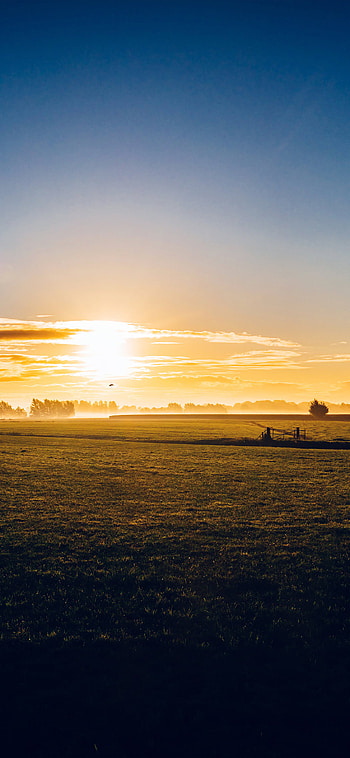 Sunny morning farm, Peaceful nature HD phone wallpaper